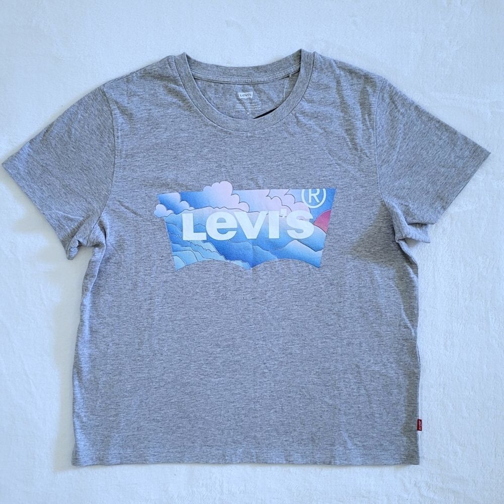 Levi's Mountain⛰️ Scene Logo Graphic Tee👕 - NWT